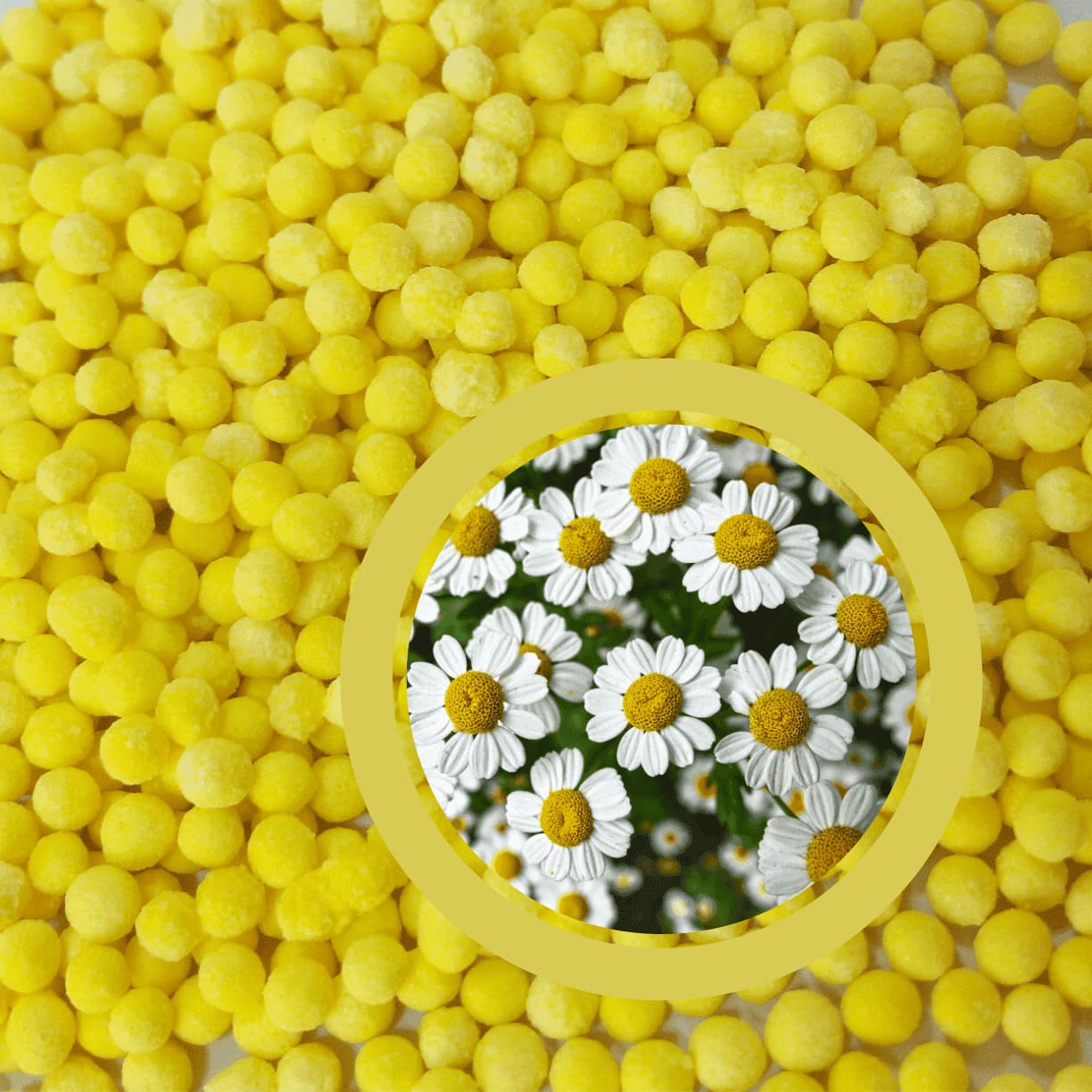 Chamomile-Encapsulated-Beads
