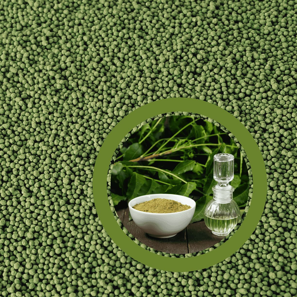 Encapsulated-Neem-Oil-Beads