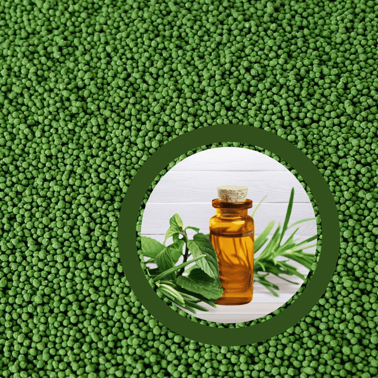 Encapsulated-Tea-Tree-Oil-Beads