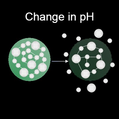 pH Responsive Spheres