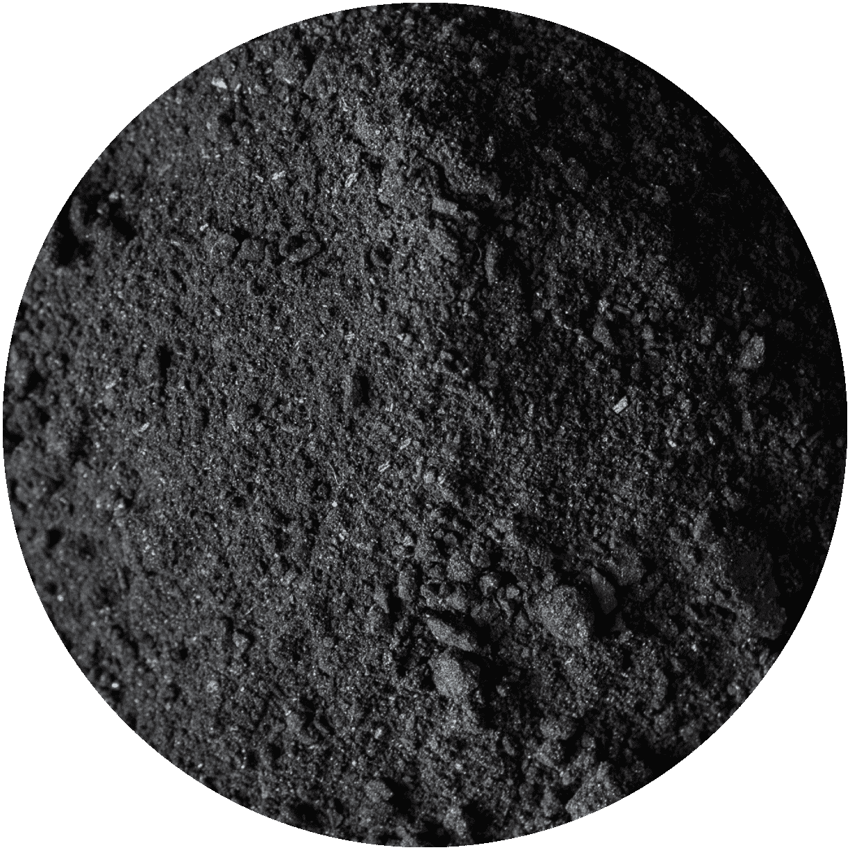 Charcoal-Exfoliator