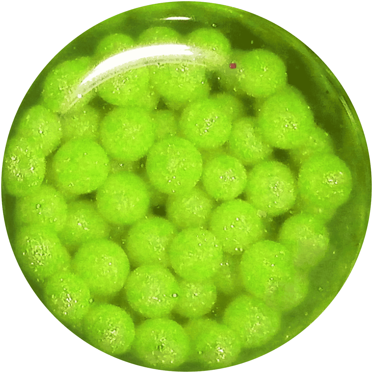 Neon-green-color-oil-spheres